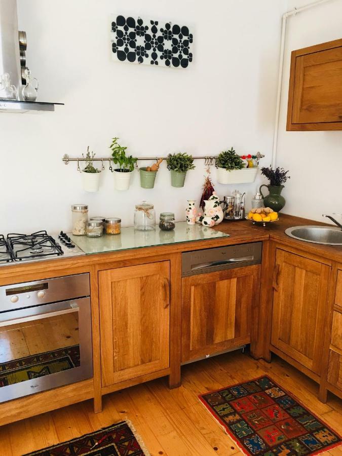 Casa Delia Lägenhet Laslea Exteriör bild