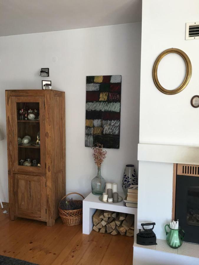 Casa Delia Lägenhet Laslea Exteriör bild